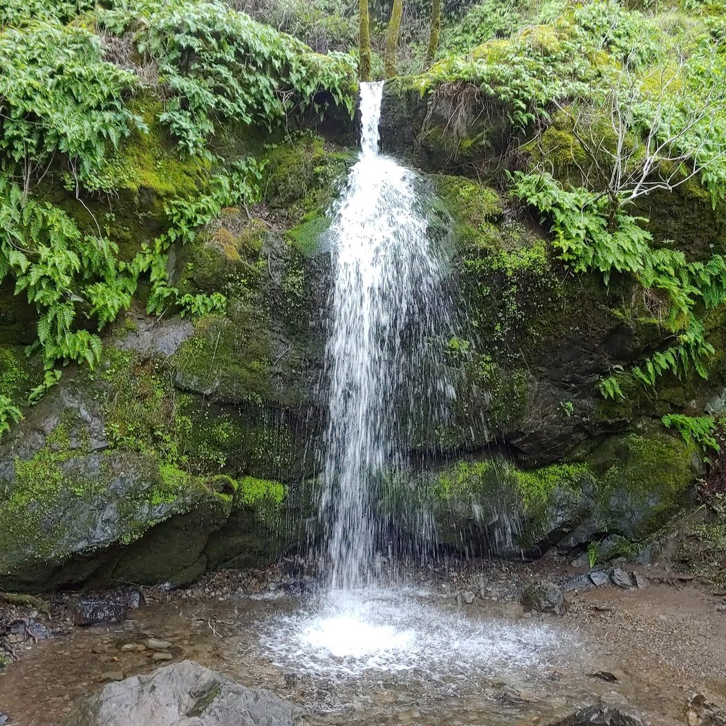 Ignacio Valley Preserve 1