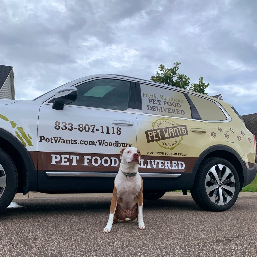 Pet Photo Shoot 3