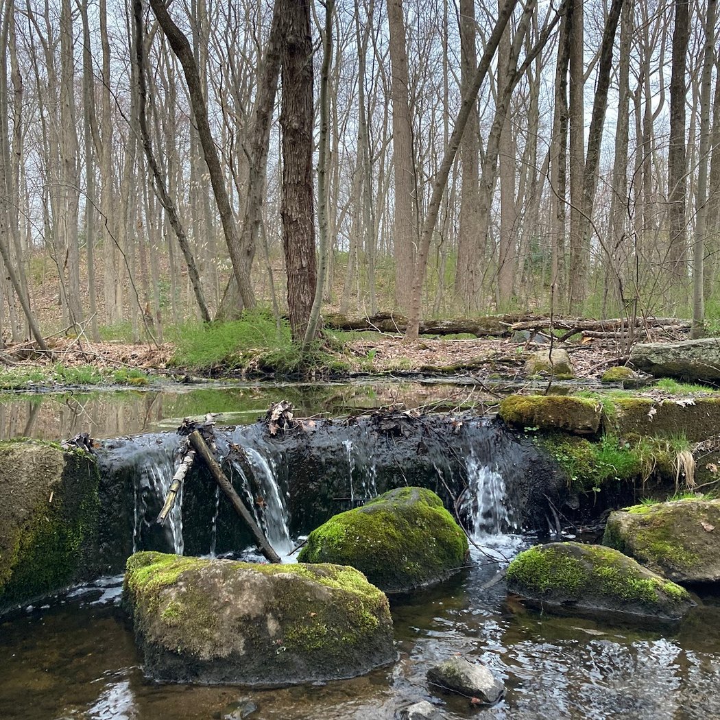 Babcock Preserve 3