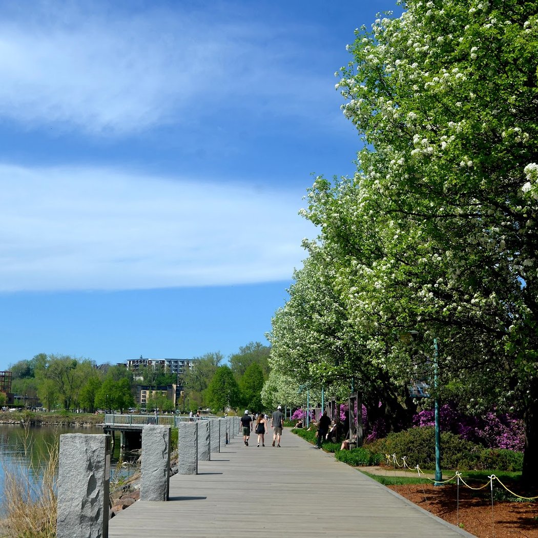 Waterfront Park 2