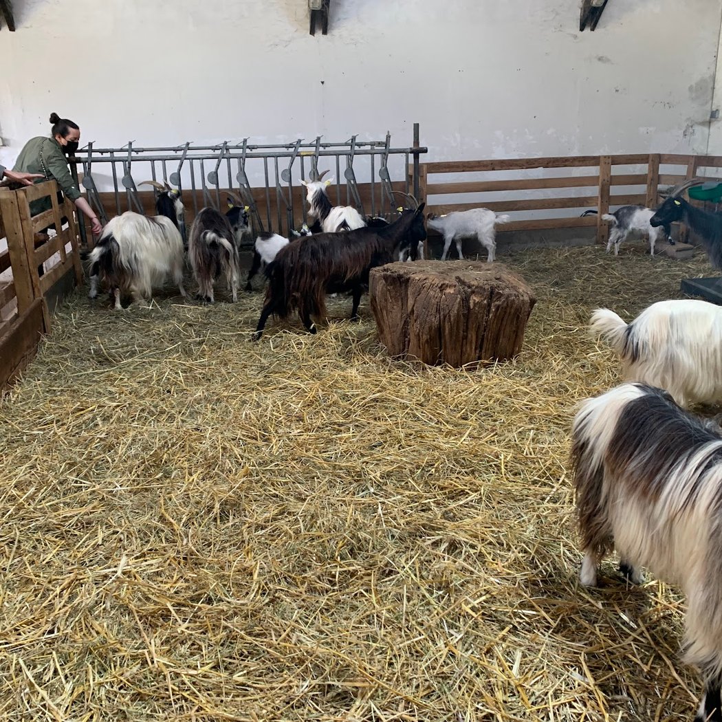 La moisson de la Ferme de Paris 3