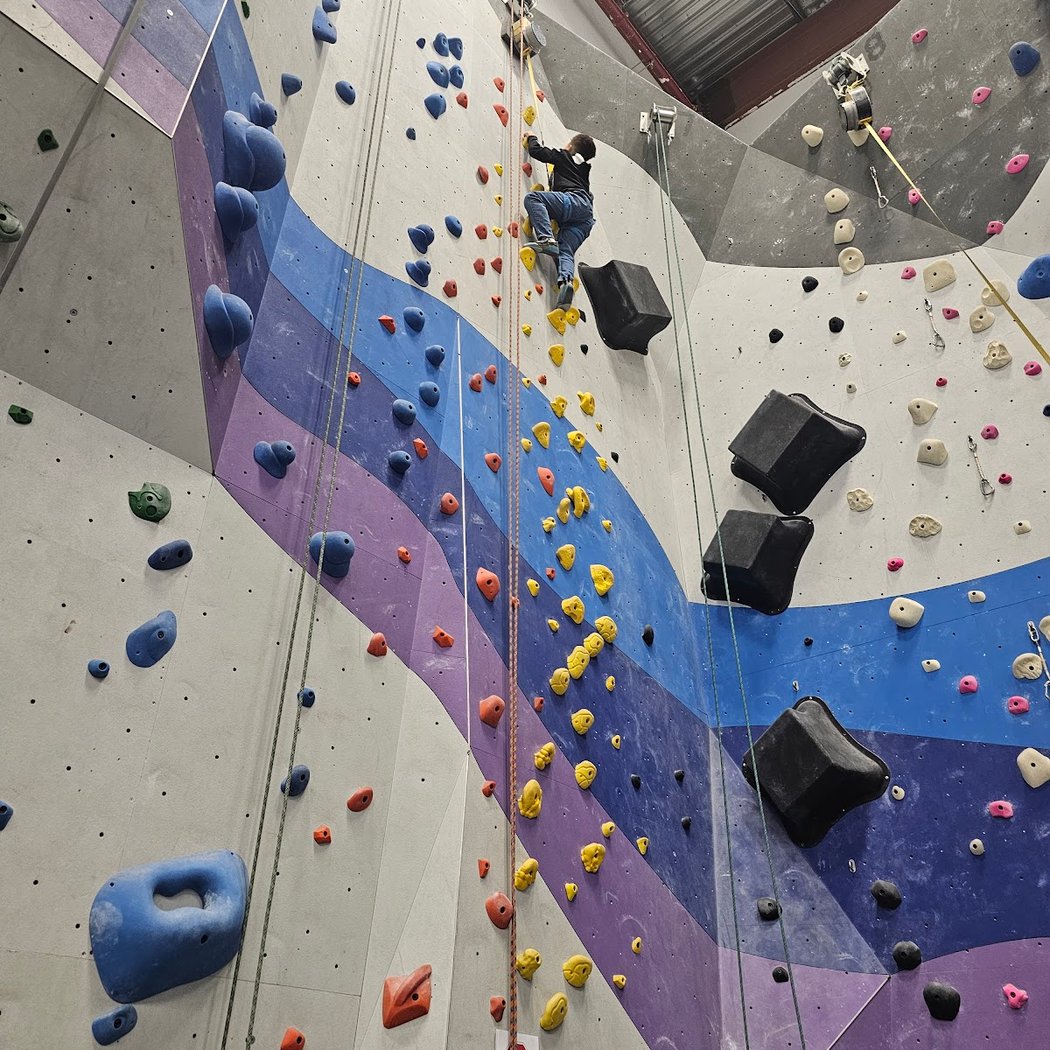 La Sportiva Demo 3