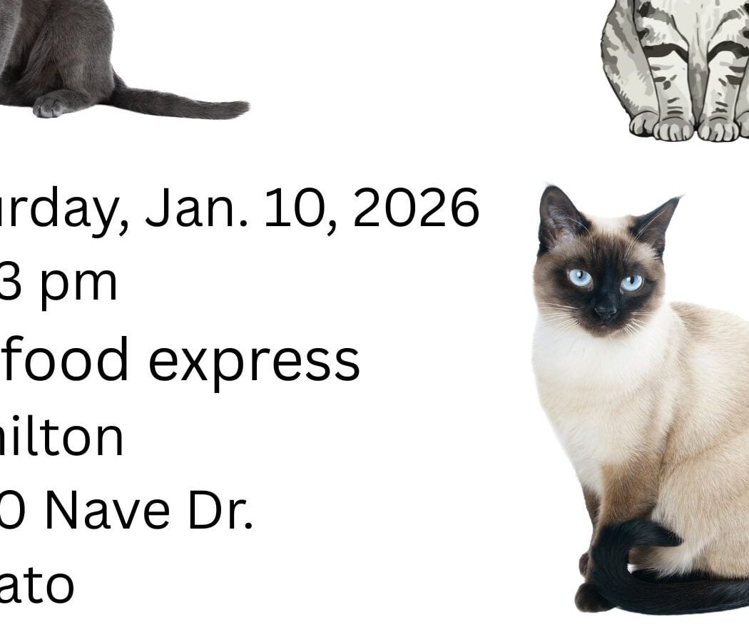 Adoption Fair 1