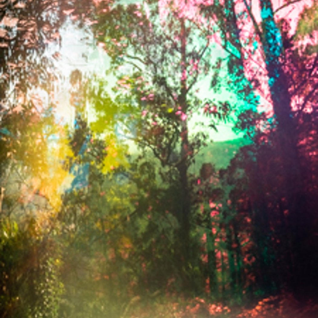 Arboreal Alchemies 1