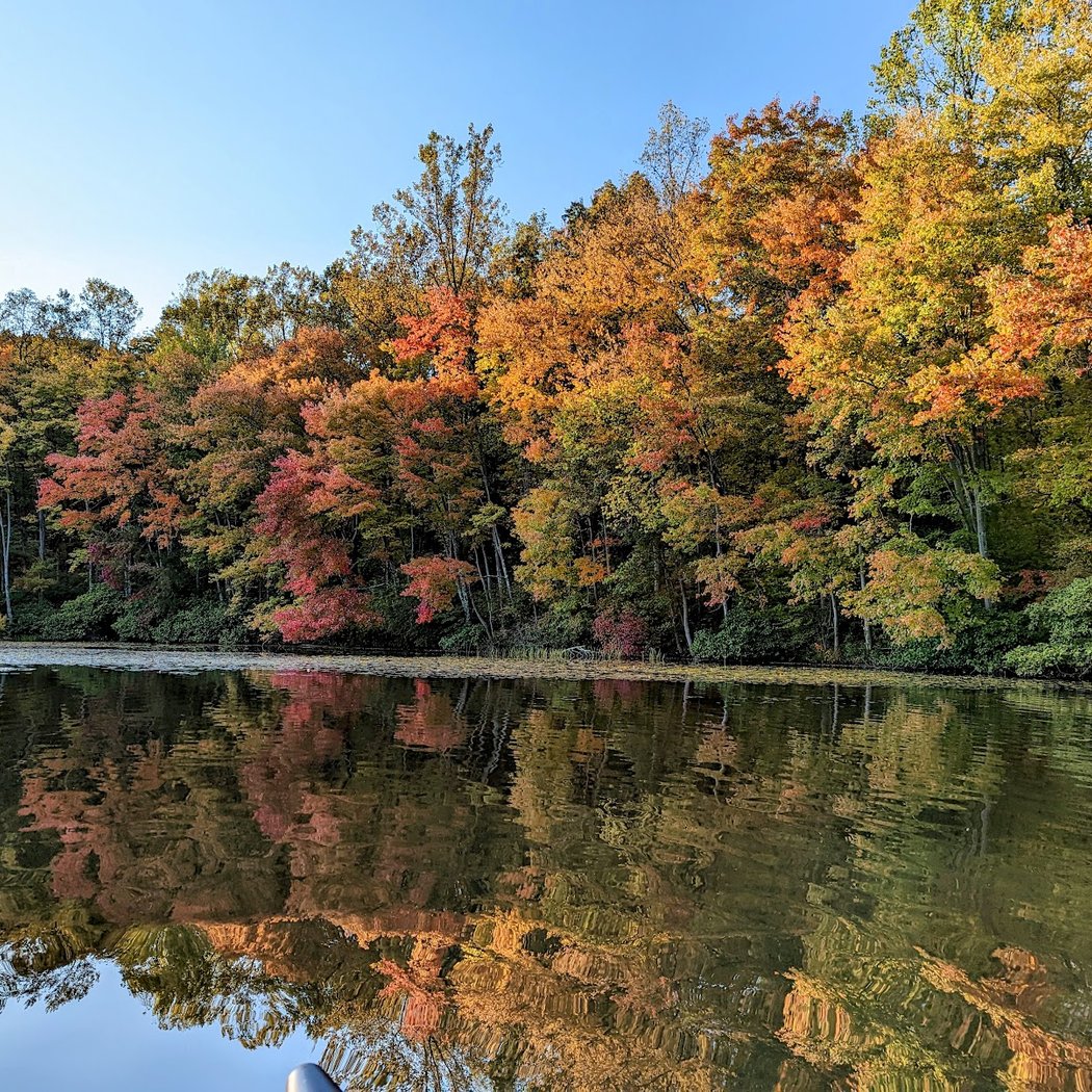 French Creek Racing Fall Swimfest 5K 1