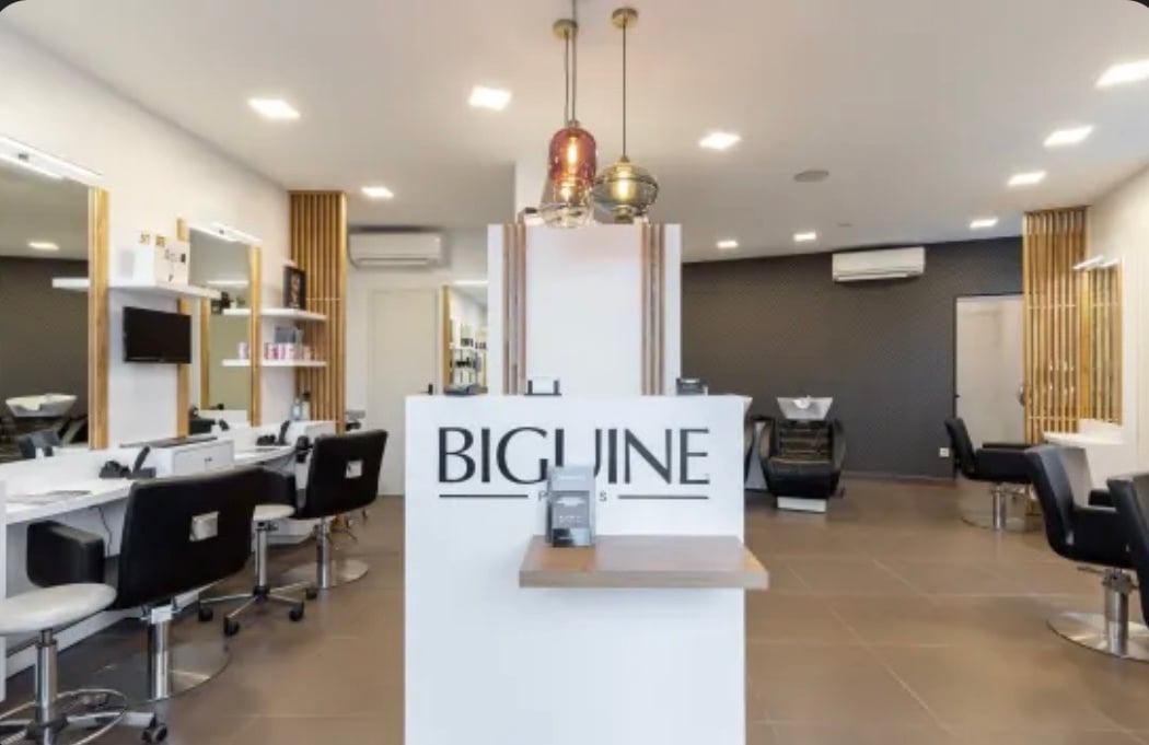 Mon Salon Zola 2