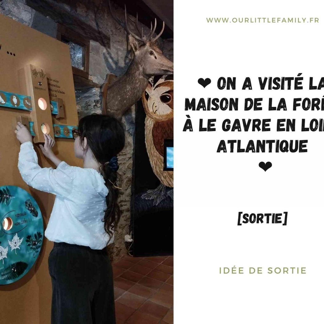 Visitez la Maison de la Forêt 1