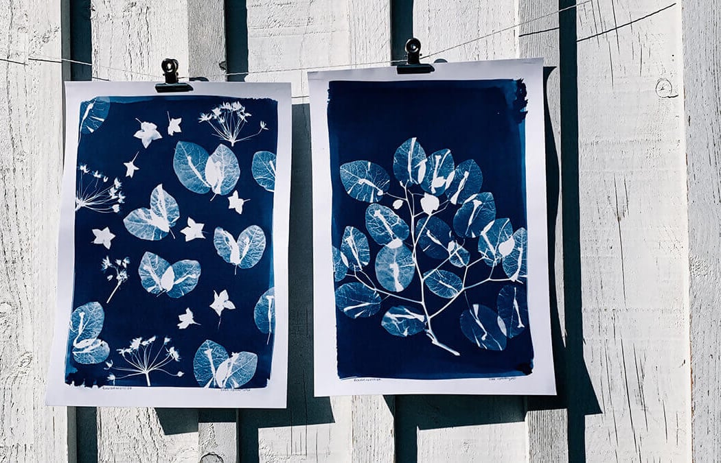 Atelier Cyanotype avec Julia 3