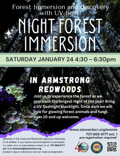 Night Forest Immersion Walk with UV lights 1