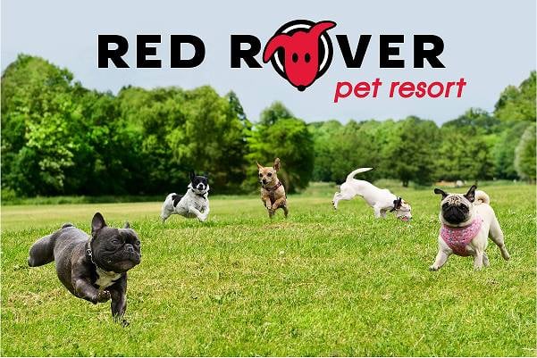 Red Rover Pet Resort 1