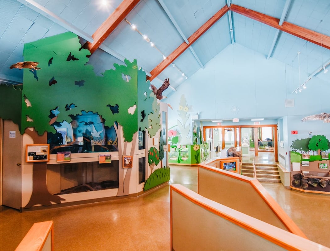 Blue Hills Trailside Museum 1