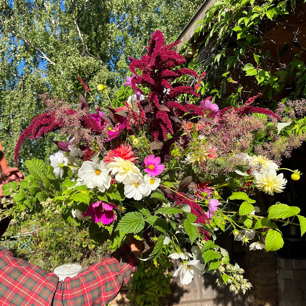 Donnerstag ist Hoftag: Gemüse und Blumen 3