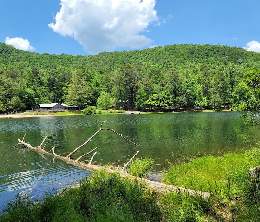 Vogel State Park 2