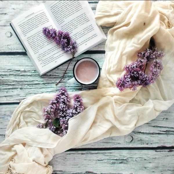 Les Bouquins Sauvages Café-Lecture 1