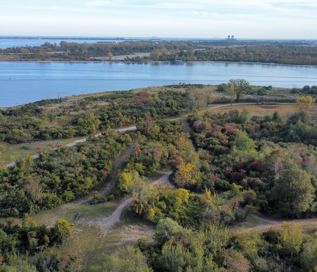 North Forty Natural Area 1