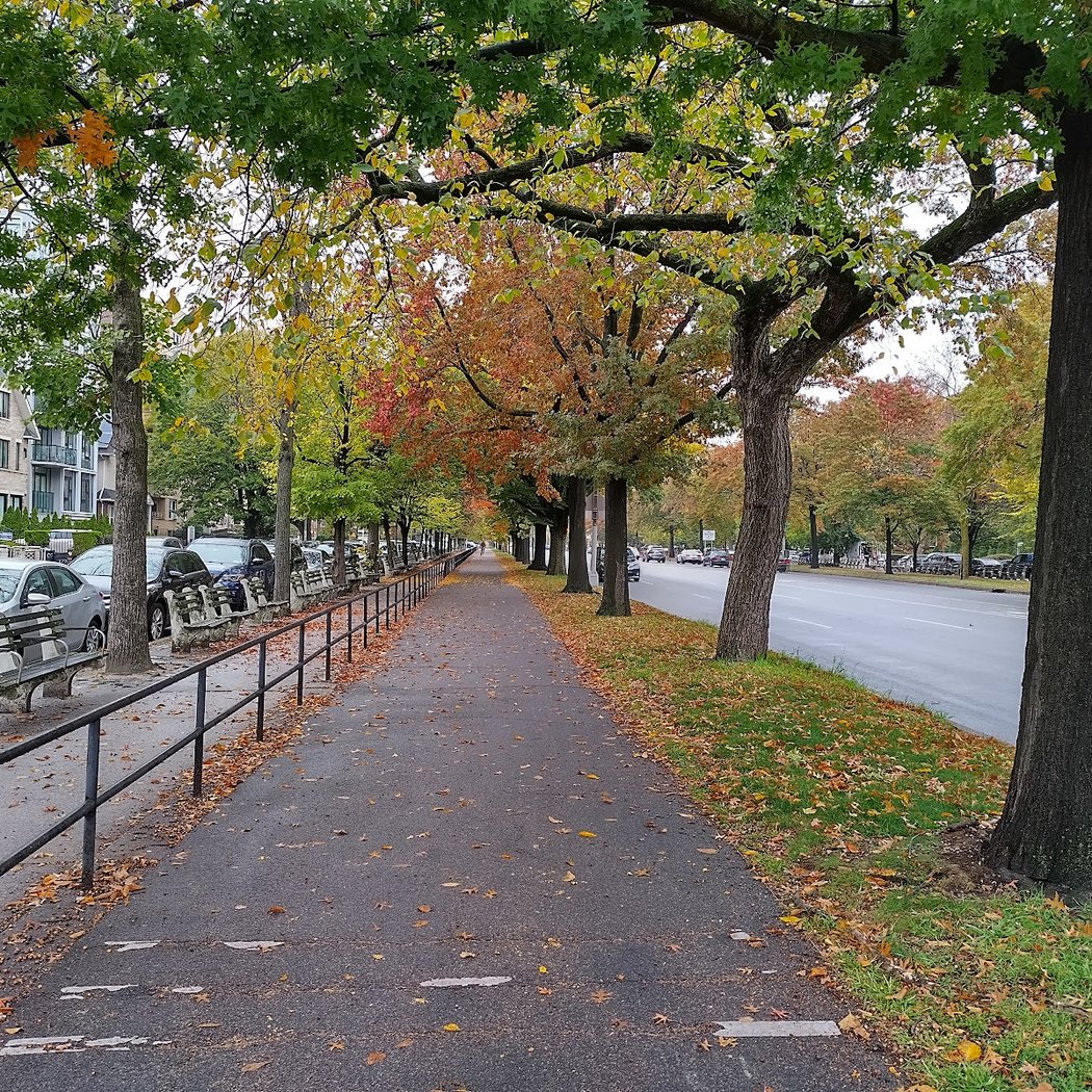 Ocean Parkway Malls 2