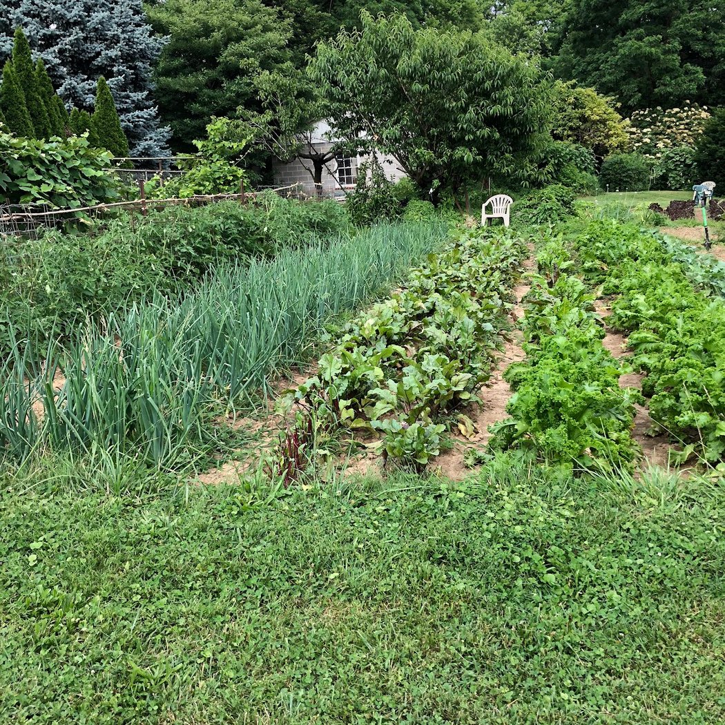 Little Farmers 3