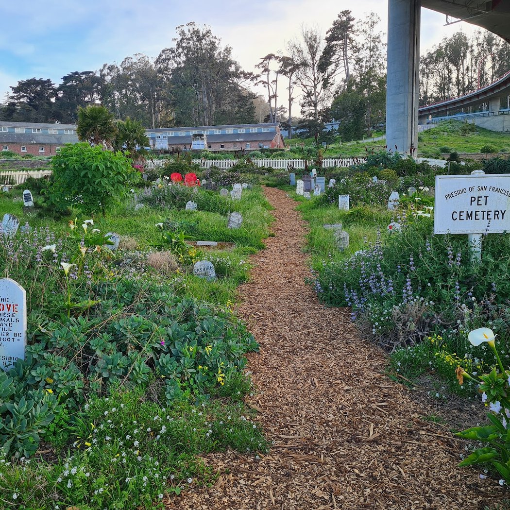 Presidio Pet Cemetery 1