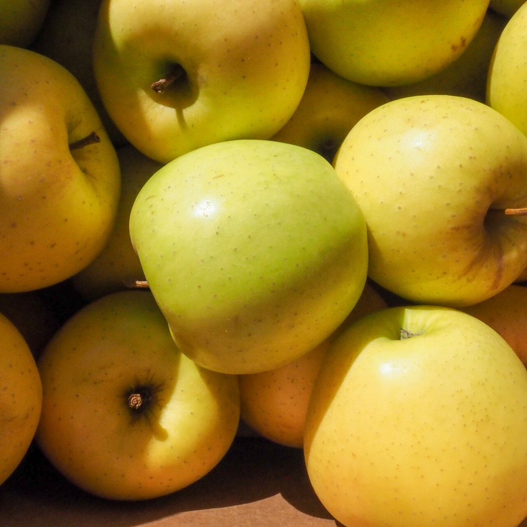 Apple & Honey Harvest 3