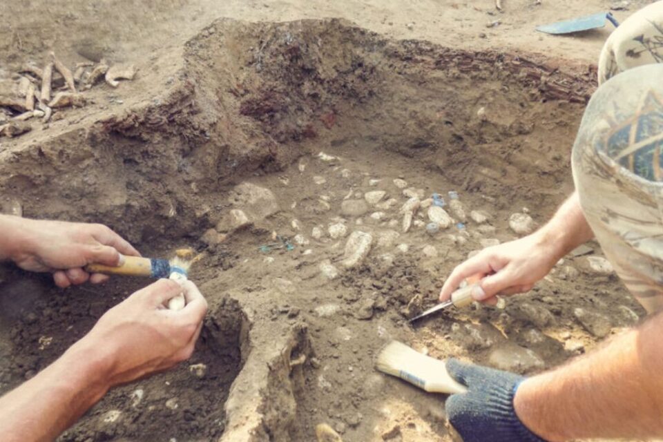 Espace d'aventures archéologiques 1