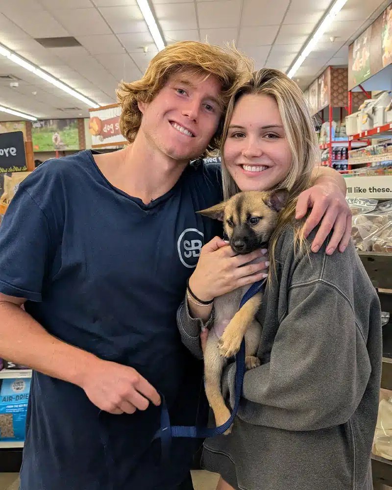 Mobile Adoptions 1