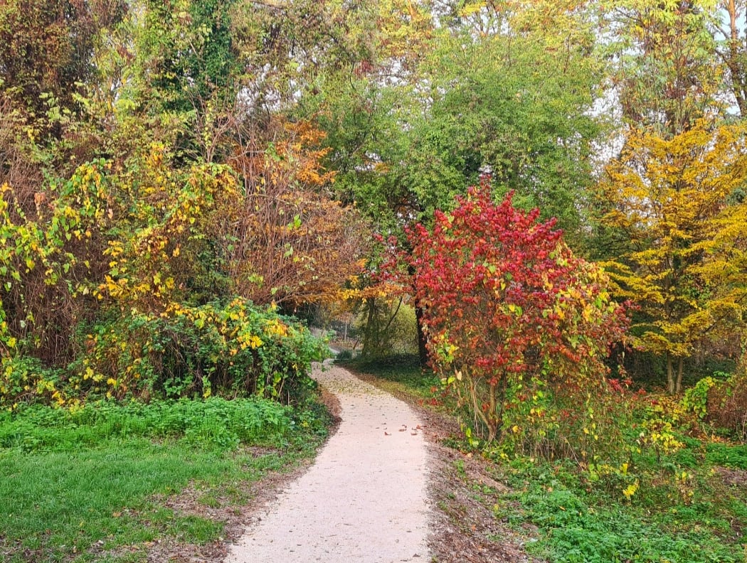 Parc des Prés de la Bièvre 2