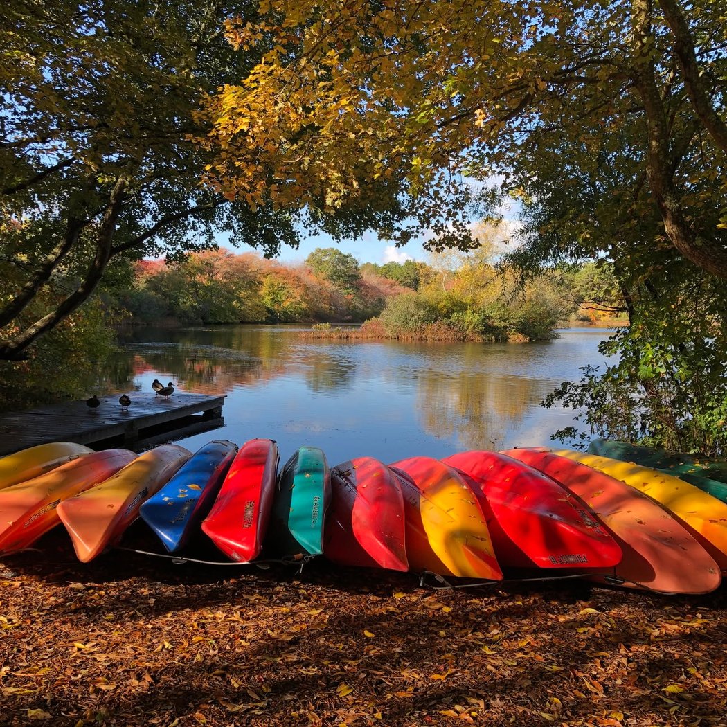 Autumn Nature Journaling Workshop