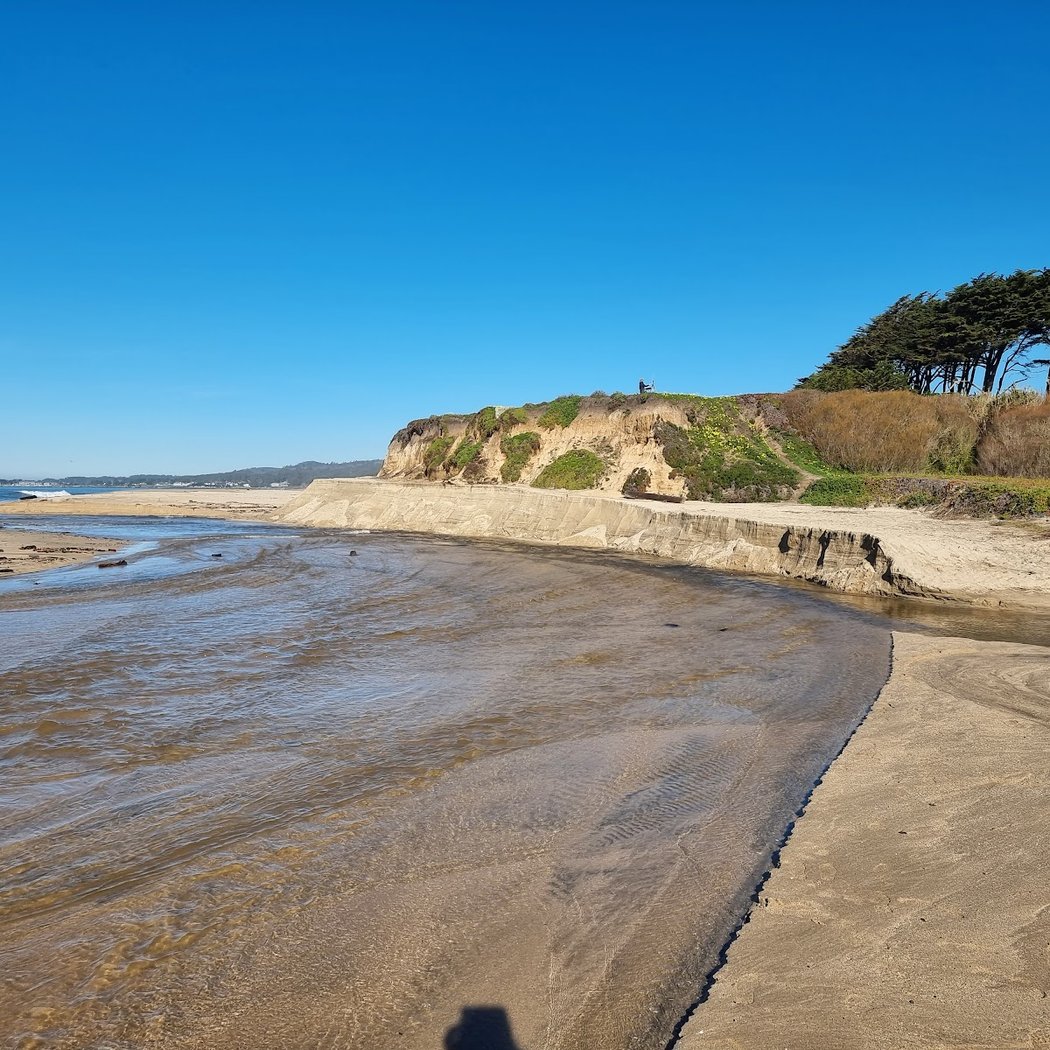 Venice State Beach 3