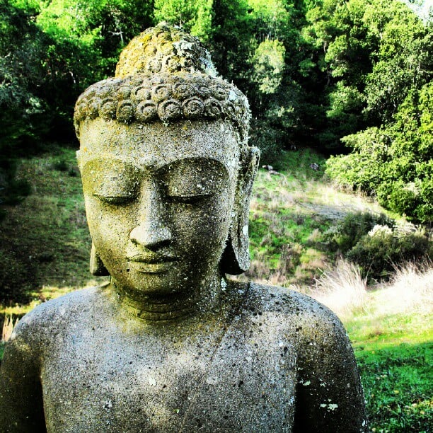 Naturally Arising Samādhi and Insight 1