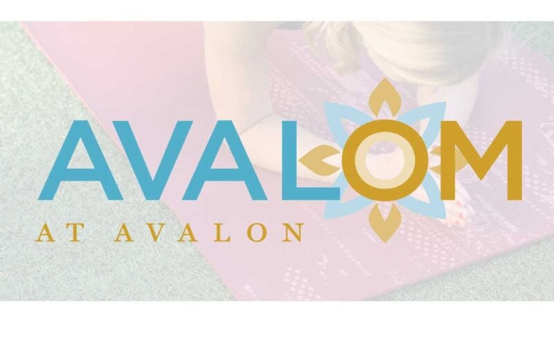 AvalOM 1