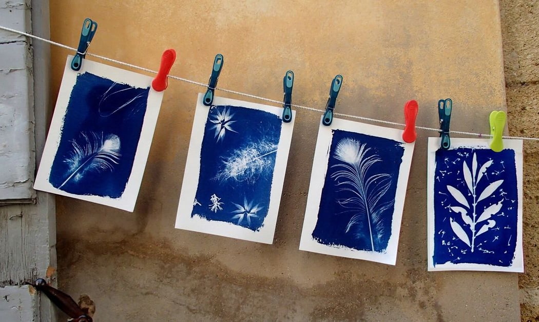 À la découverte du Cyanotype 3
