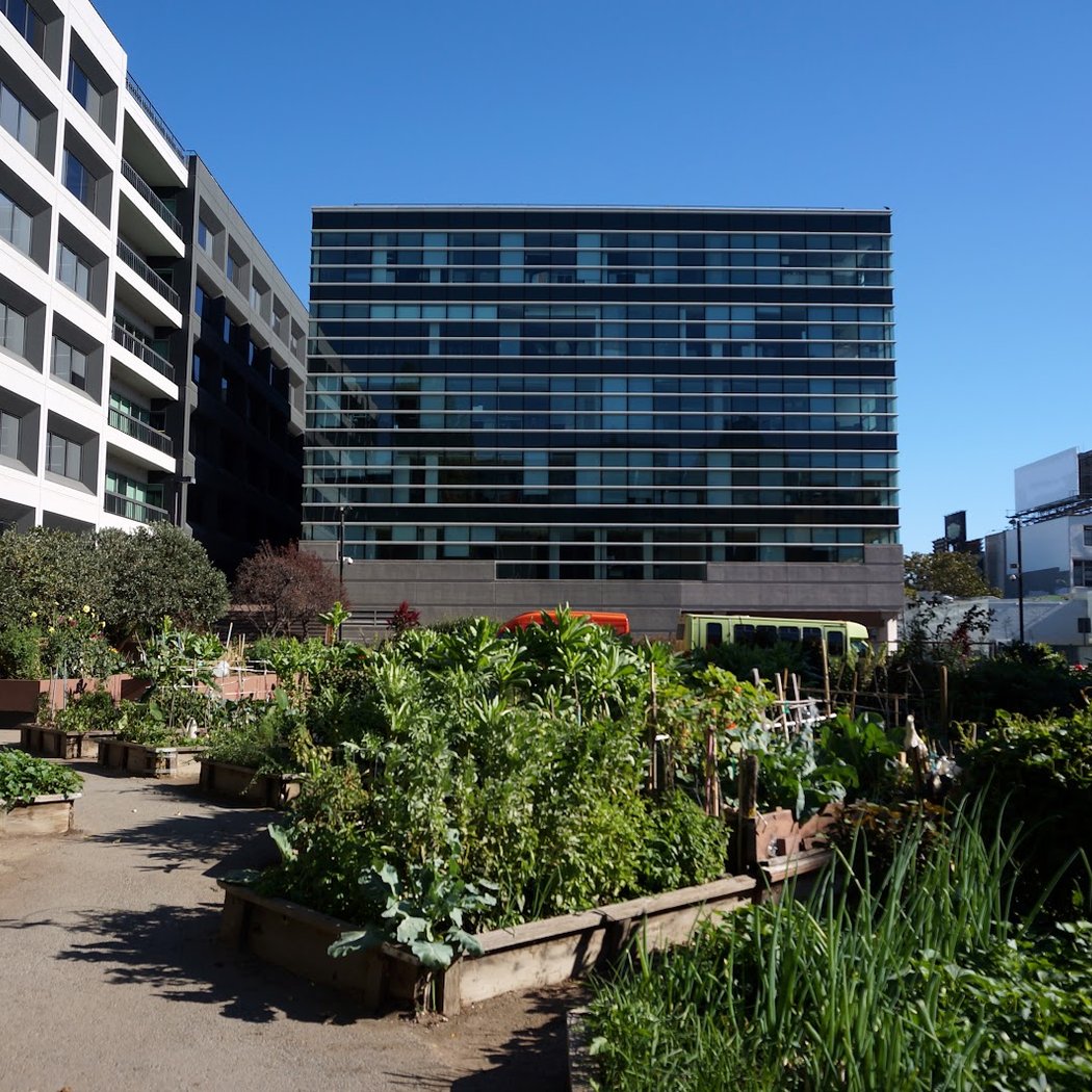 Alice Street Community Gardens 2