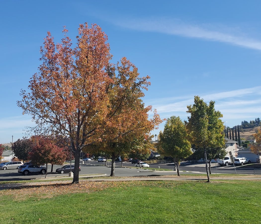 Mira Vista Park 1