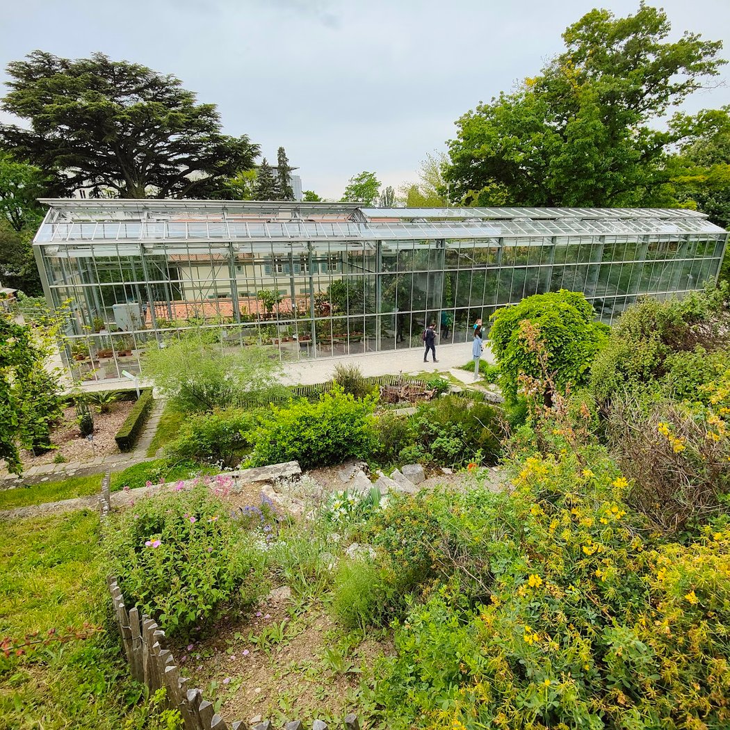 Lausanne Botanical Garden 2