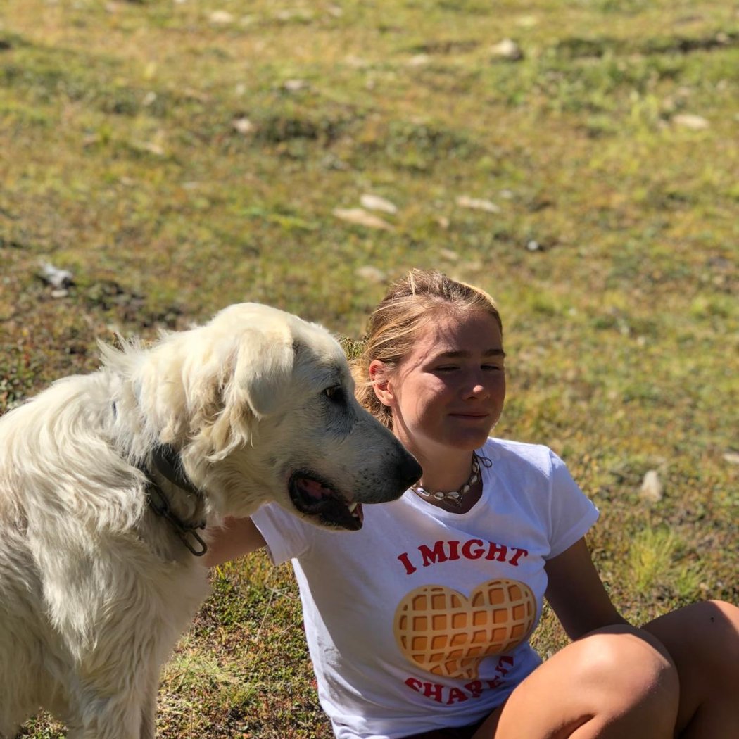 Ker Wouf - Pension canine - Dog sitting - Garde de chiens 2