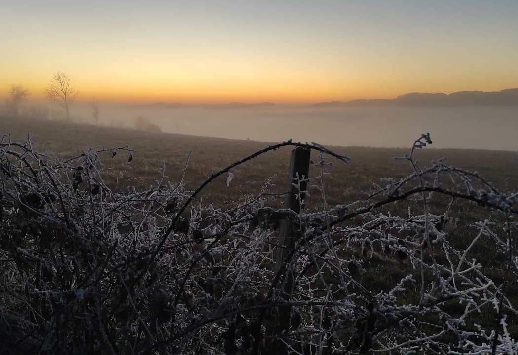 Monts du Lyonnais 1