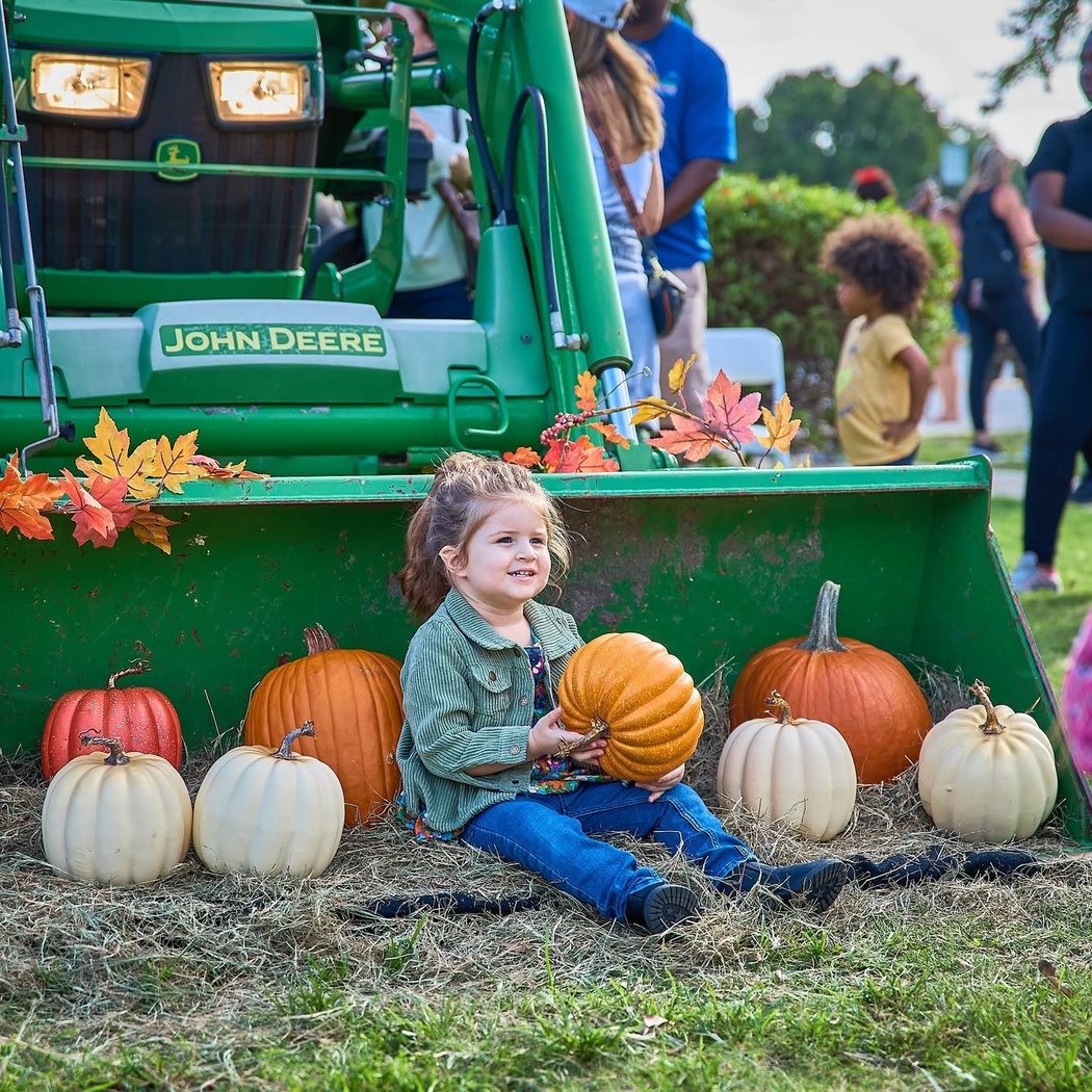 Fall Festival 1
