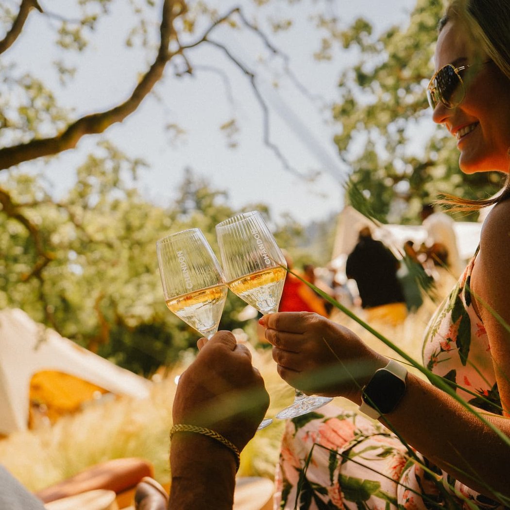 The Taste of Yountville 2