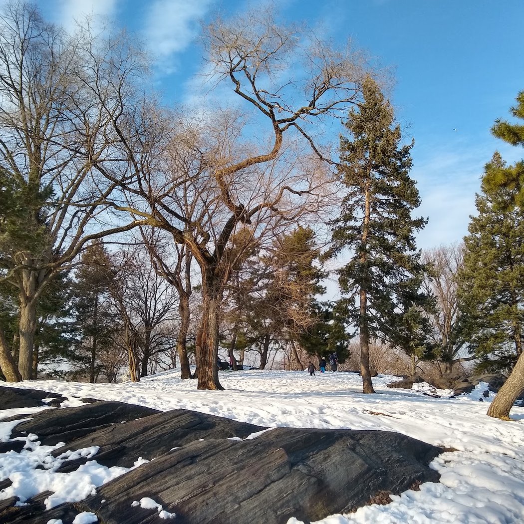 East Meadow 3