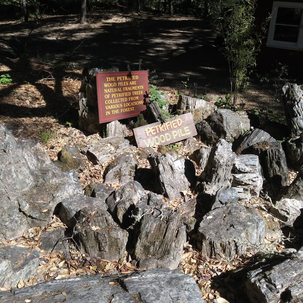 Petrified Forest Rd 2