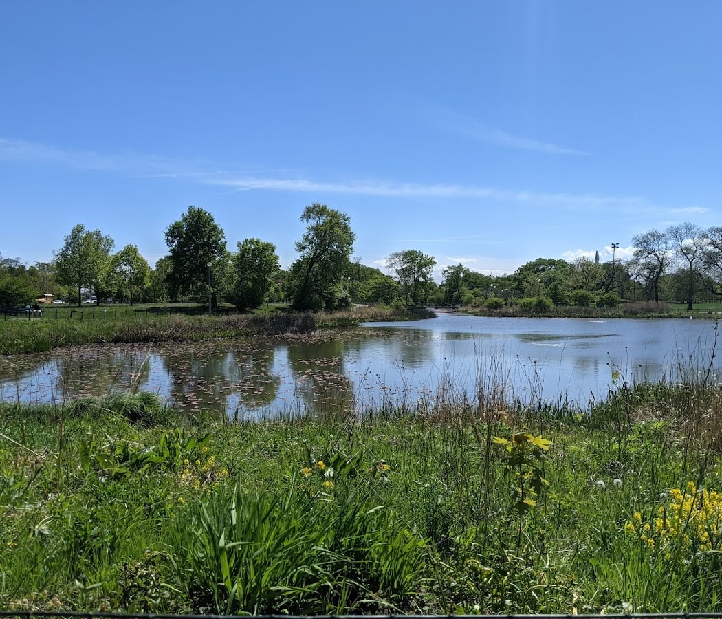 Humboldt Park Natural Area 3
