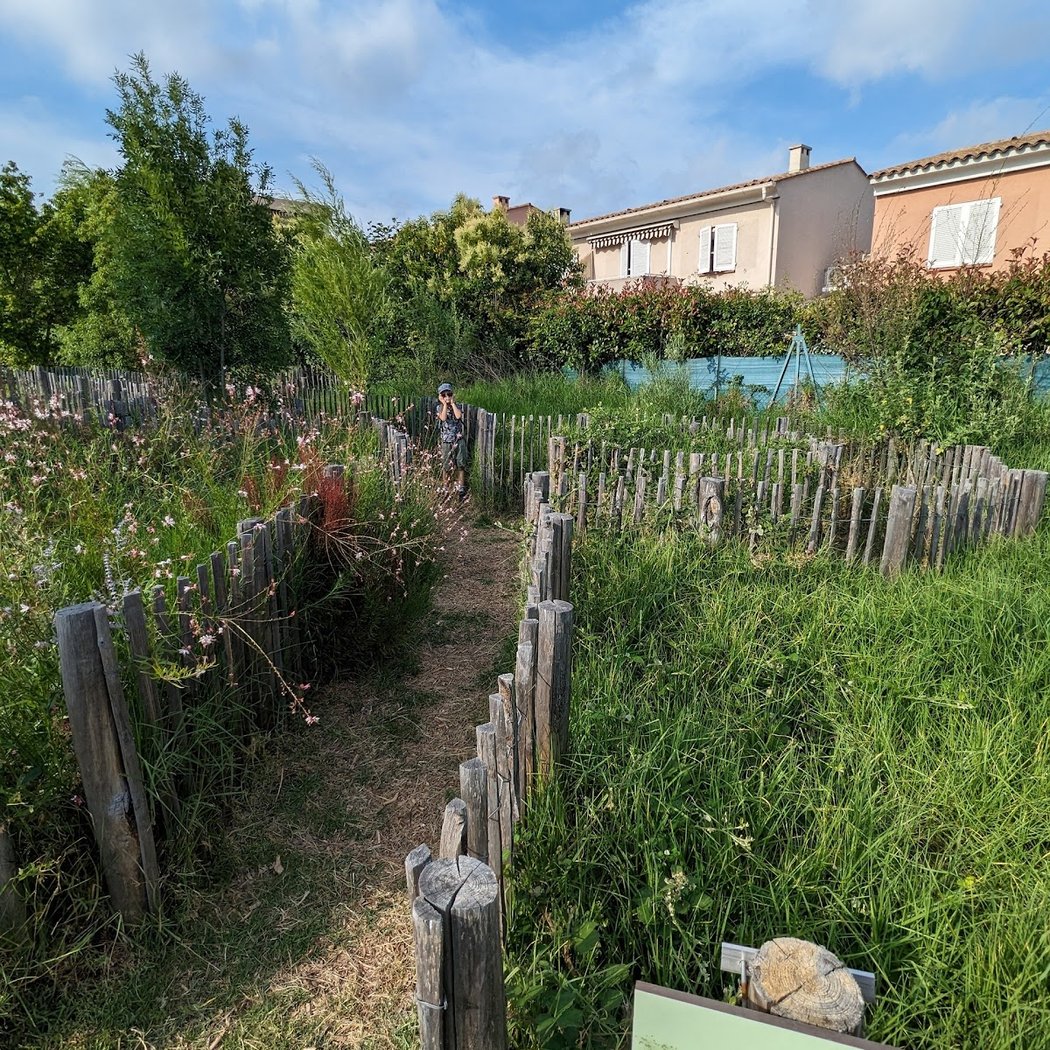La gloire de mon père 2