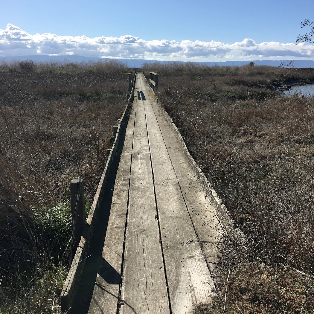 Coyote Creek Lagoon Trail 1