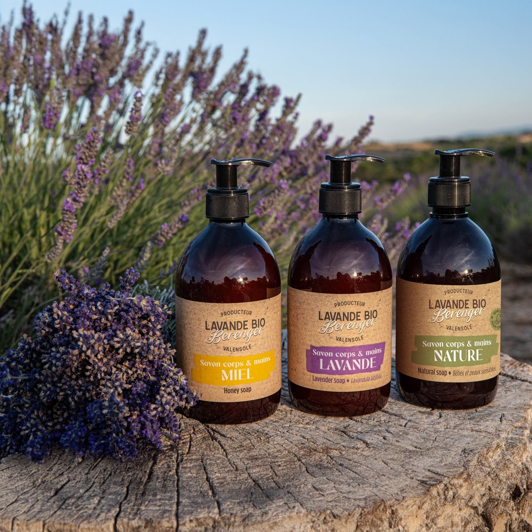 Lavender bio | Valensole 1