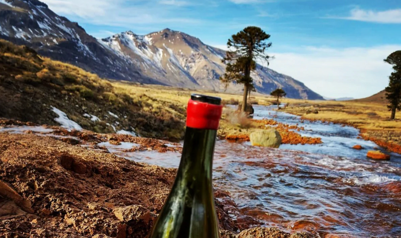 Bodega Chacra: Iconic Wines from the End of the World 1