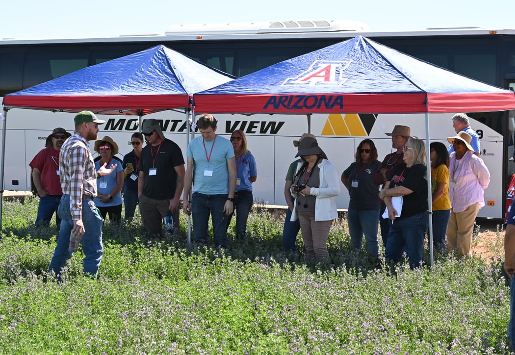Pollinator Week Event 2