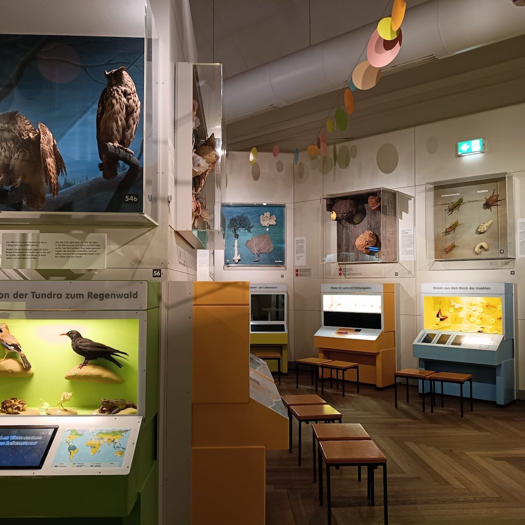 Museum of Man and Nature 3