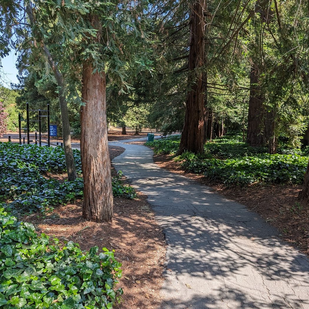 Step Into Wellness: Atherton Library's Walking Club 1