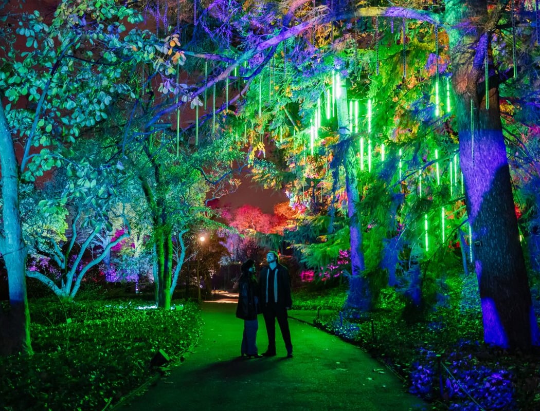 New York City’s Most Dazzling Light Show 1