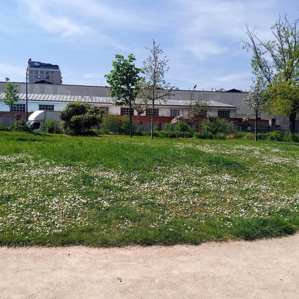 Square Dode de la Brunerie 2